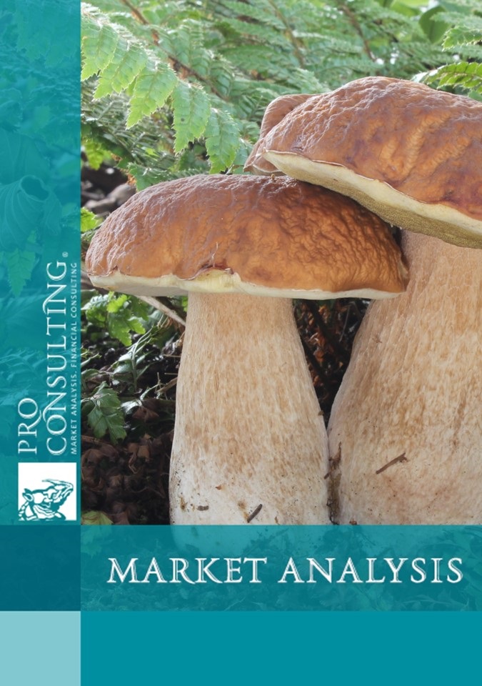 Market research report on mushroom market in Ukraine. 2023 year